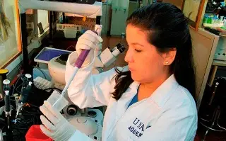 UNAM crea antiveneno contra mordedura de las serpientes más letales de África