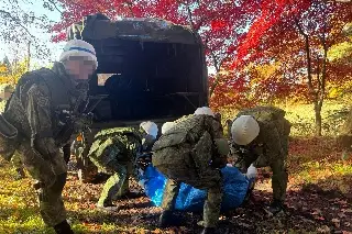 Dan luz verde para matar osos en Japón, tras oleada de ataques