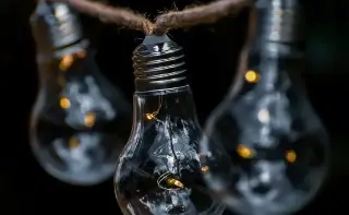 ¿Cómo debe de operar correctamente una planta de luz?