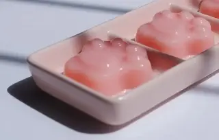 ¿Te gusta comer gelatina? Esta información te puede interesar