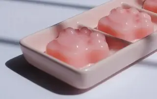 ¿Te gusta comer gelatina? Esta información te puede interesar