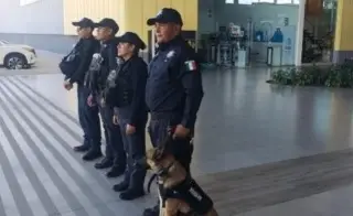 Buen Fin: Patrullan 800 policías en plazas comerciales de Boca del Río, Veracruz y más municipios