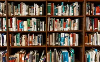 ¿En qué consiste la novela 'Demasiado amor'? 