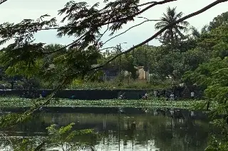Realizan limpieza de lagunas Ensueño y La Ilusión, piden iluminación  