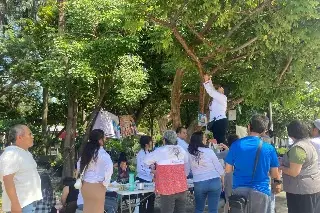 Para recordar a sus desaparecidos, colocan Árbol de la Memoria en Veracruz