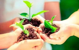 Organizaciones piden más impuestos ambientales para financiar política climática de México