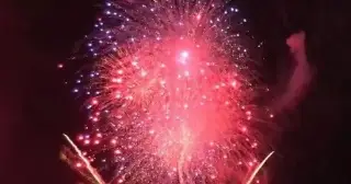 Así puedes proteger a tu mascota de la pirotecnia