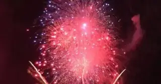 Así puedes proteger a tu mascota de la pirotecnia