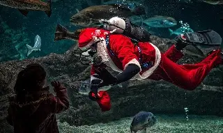 Santa Claus visitará el Acuario de Veracruz, se sumergirá en la pecera arrecifal 