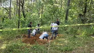 Hallan 4 cuerpos en fosa clandestina dentro de predio del diputado Carlos Bautista en Uruapan