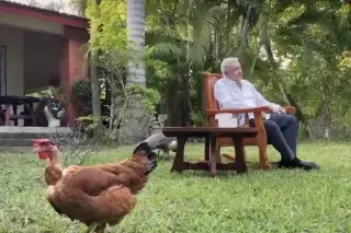 'No estoy tras el trono', señala AMLO tras reaparecer en redes sociales