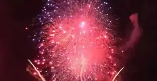 Así puedes proteger a tu mascota de la pirotecnia