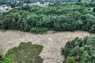 Vecinos piden inspección por trabajos en área natural protegida en Xalapa, Veracruz 