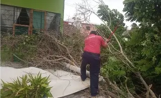 Emiten Alerta Gris para tomar precaución por 2 frentes fríos y Norte de 100 km/h  