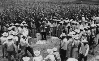 Así llega el Campo Experimental Cotaxtla a sus 71 años 