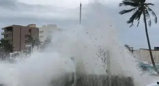 Asegurar objetos en azoteas y mantener podados los árboles para evitar afectaciones por alerta gris