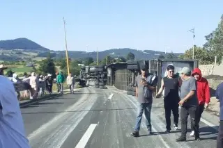 Saquean 20 toneladas de pavos tras volcadura en carretera de Veracruz 