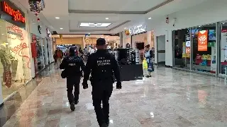 Despliegan 1,500 elementos de la SSP durante Operativo Guadalupe–Reyes en Veracruz