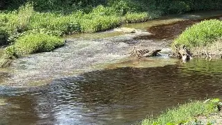 Imagen Evacúan escuelas por otra fuga de hidrocarburo al norte de Veracruz 