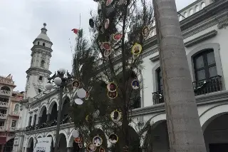 Colocarán árbol en memoria de desaparecidos en Veracruz
