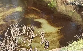 Habitantes protestan contra Pemex por escurrimientos de hidrocarburo al norte de Veracruz