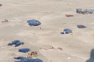 Aparecen manchas de petróleo crudo en estas playas de Alvarado (+ video)