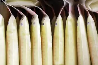 Grupo Multisectorial confirma desabasto de leche de fórmula en Capasits