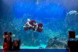 Santa Claus llega al Acuario de Veracruz, estos son los días y horarios (+Video)