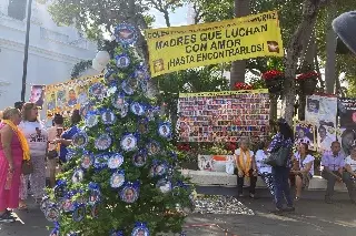 Integrantes del Colectivo Solecito de Veracruz colocan árbol de desaparecidos  
