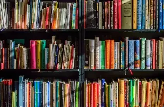 Para estas vacaciones, recomiendan el Diccionario de mitos de América; de esto trata 