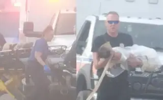 Imagen Suman 5 muertos por accidente de avión de la Semar en Texas; falta localizar a un tripulante