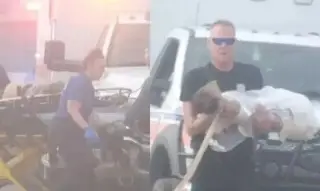 Fundación Michou y Mau expresan solidaridad tras desplome de aeronave de Semar en EU 