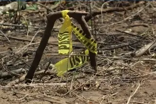 Colectivo Solecito de Veracruz espera iniciar búsqueda en nuevos predios en el 2026