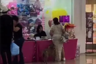 Celebran la empatía y solidaridad hacia perro callejero dentro de plaza comercial (+Video)