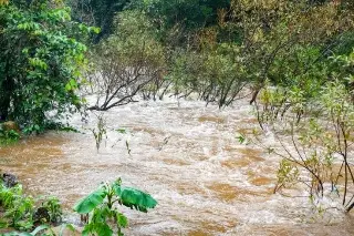 Hallan cuerpo flotando en el río Sedeño; Fiscalía de Veracruz investiga 