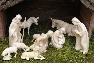 Imagen Decomisan más de 400 kilos de musgo y plantas para nacimientos navideños, ¿dónde ocurrió?