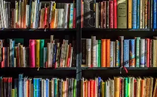 Para este cierre de año, recomiendan la lectura 'El Niño y el río' 