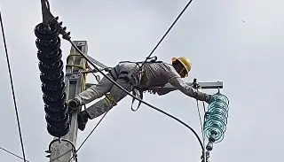 CFE restablece casi toda la luz tras sismo en Guerrero