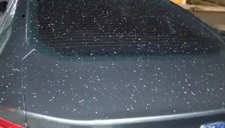 Imagen Cae ceniza en Boca del Río; este es el motivo 