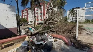 Mosquitos proliferan  tras inundación del río Cazones al norte de Veracruz 