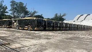 Ya están los otros 40 camiones Ulúa en Veracruz
