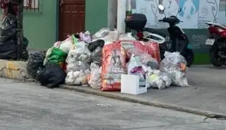 Imagen Basura en Coatepec frena promoción turística, reclaman ciudadanos