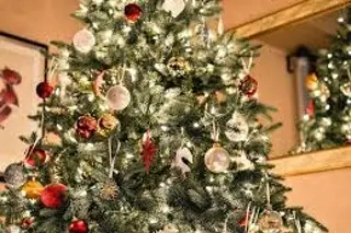 ¿Todavía no has quitado el árbol de Navidad? Esto recomiendan