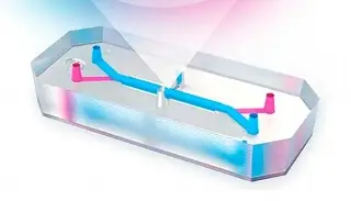 UNAM fabrica chip que replica funciones del hígado humano para evaluar medicamentos