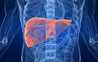 Científicos mexicanos desarrollan “hígado en un chip” para evaluar fármacos