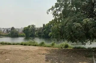 Captan cocodrilos en laguna de Veracruz 