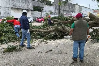 PC reporta desbordamiento de arroyos y afectaciones menores por Frente Frío en Veracruz 