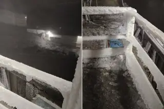 Reportan Cencellada en el Cofre de Perote tras paso de Frente Frío en Veracruz