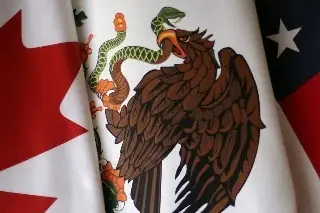 ¿De qué depende para determinar si puede terminarse o no el T-MEC? 