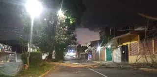 Rachas de viento dejaron afectaciones en árboles en Xalapa